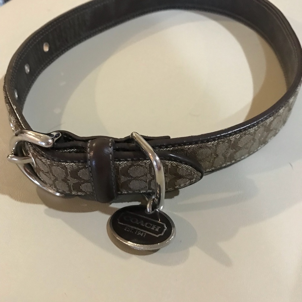 Coach dog collar